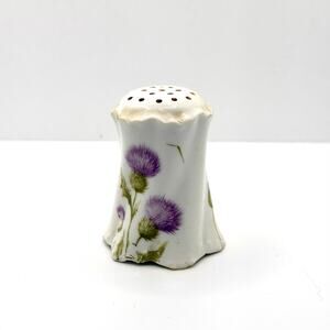 Vintage 1900s Rosenthal RC Bavaria Thistle Swirl Porcelain Salt Shaker